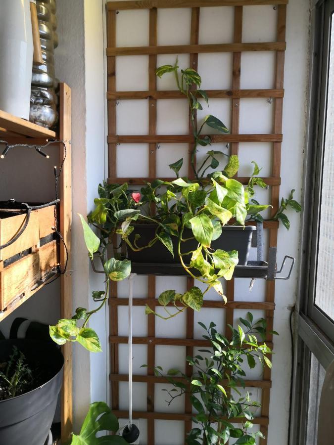 My Quiet House Apartment มาลากา ภายนอก รูปภาพ