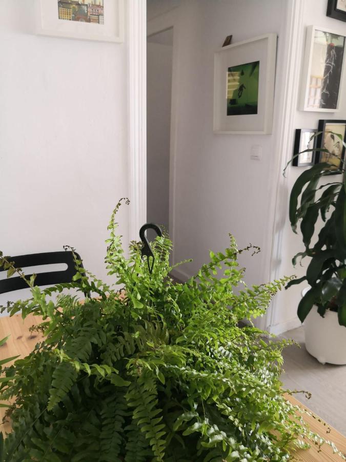 My Quiet House Apartment มาลากา ภายนอก รูปภาพ
