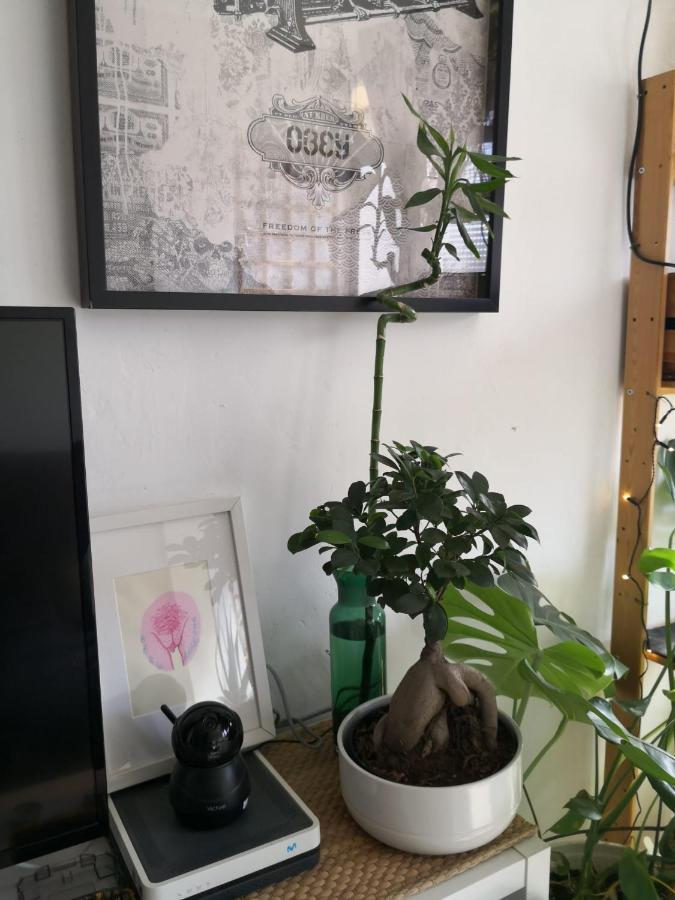 My Quiet House Apartment มาลากา ภายนอก รูปภาพ