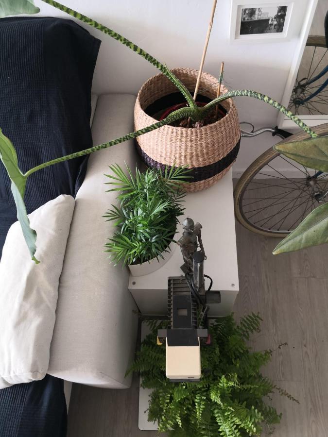 My Quiet House Apartment มาลากา ภายนอก รูปภาพ